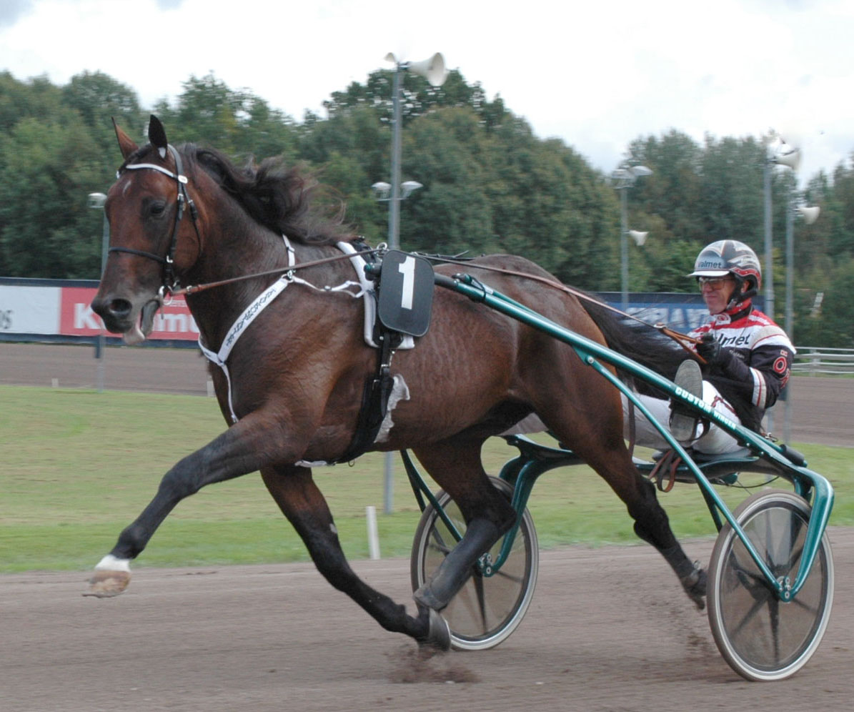 Maharajah och Örjan Kihlström är nummer 1 i Travkompaniets egen segerliga. Foto; A.Lindblom